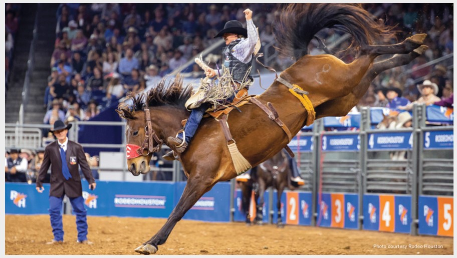 KBHB Radio Montana’s Sage Newman breaks saddle bronc earnings record